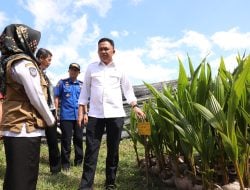 Kementerian Pertanian Jadikan Gantarangkeke Bantaeng Pusat Penangkaran Benih Kopi di Sulsel