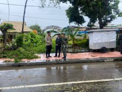 Bupati Bersama Kapolres Bantaeng Pantau Pohon Tumbang di Jalan